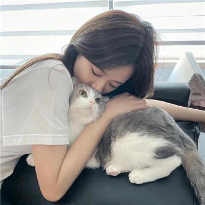 派对浪客孔明