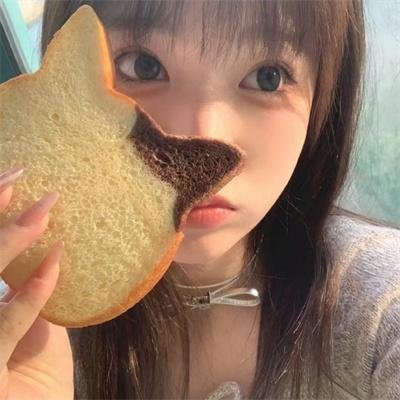 借口公司2